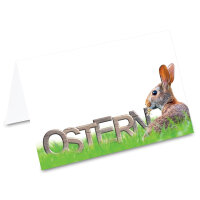 PRICARO Tischkarten "Osterhase Feld", 50...