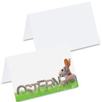 PRICARO Tischkarten "Osterhase Feld", 50...